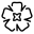 shabnamsadigova-com.pages.dev favicon